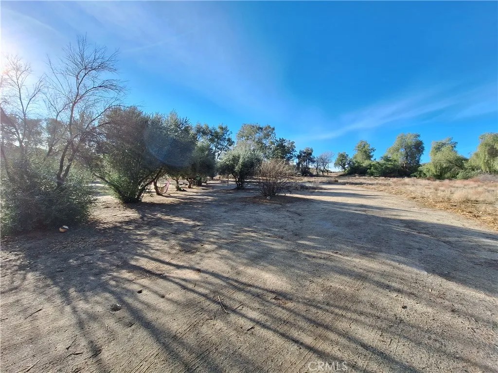 71 Juniper Flats