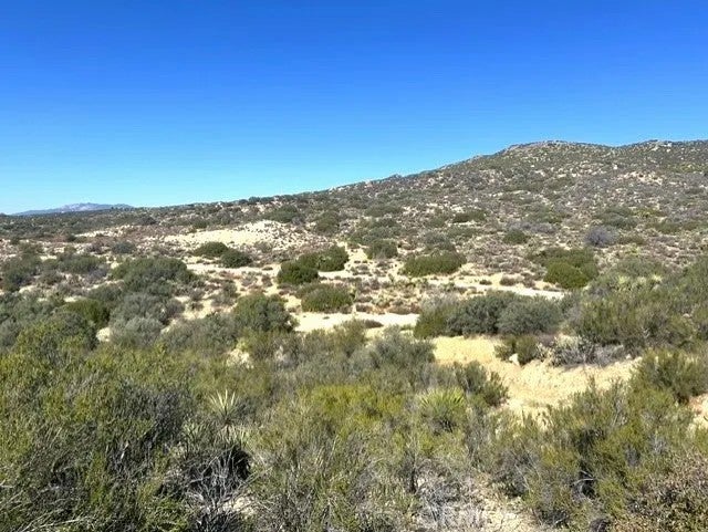 Photo of 62958 Table Mountain, Anza, CA 92539 (MLS # SW26227649)