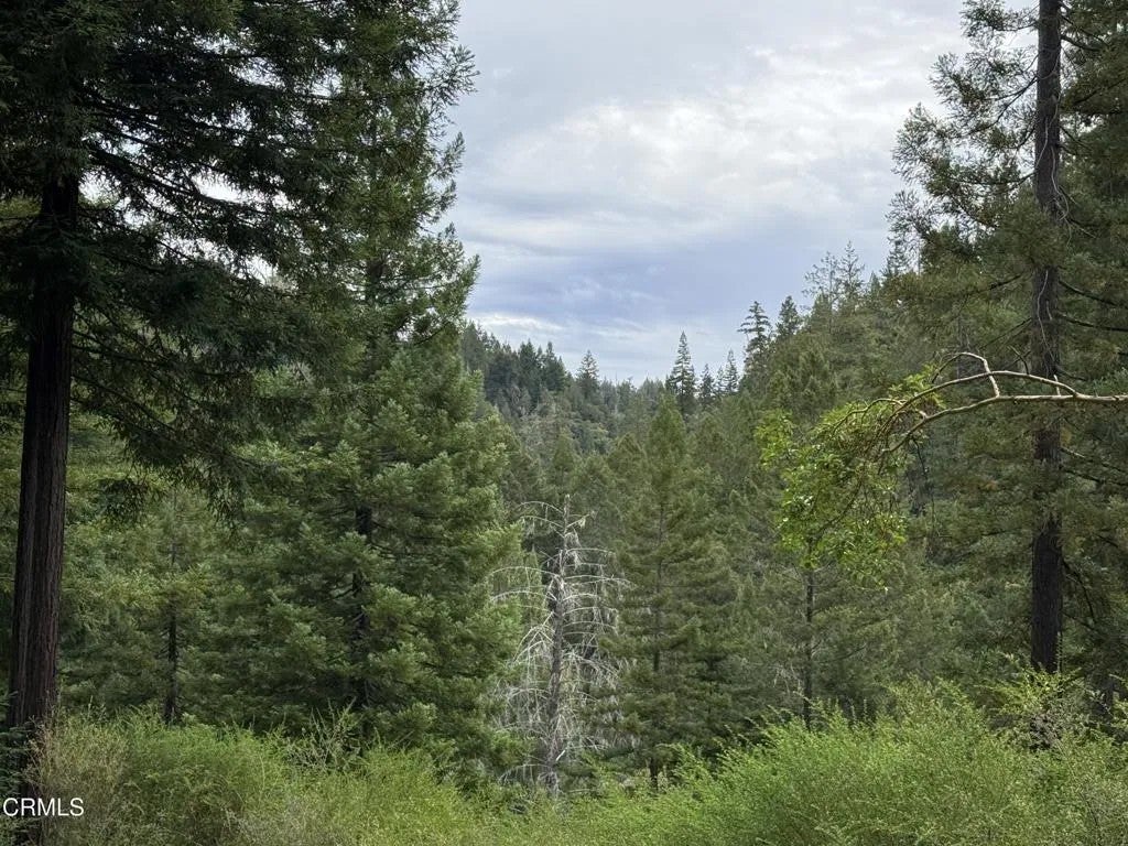 Photo of 10611 Hungry Hollow, Philo, CA 95463 (MLS # C1-11551)
