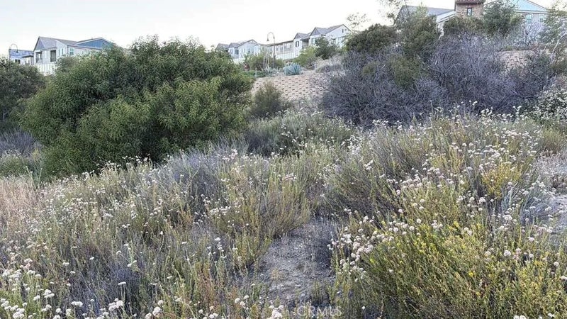 4 Coya Trail