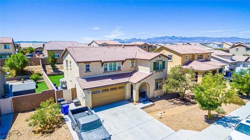 11815 Andrews