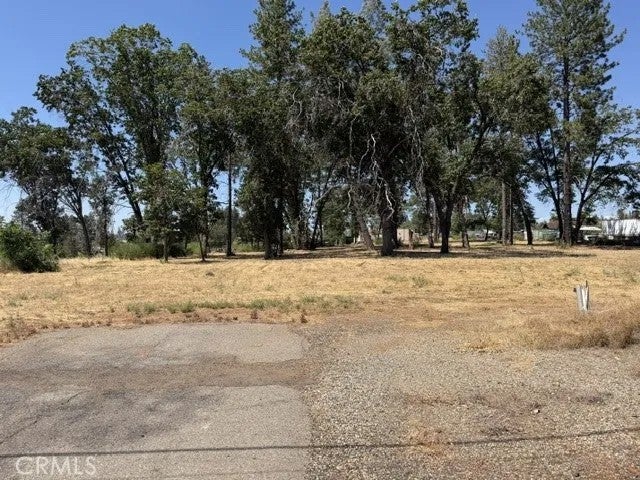5952 Almond