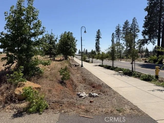 5952 Almond