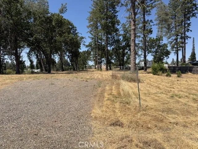 5952 Almond