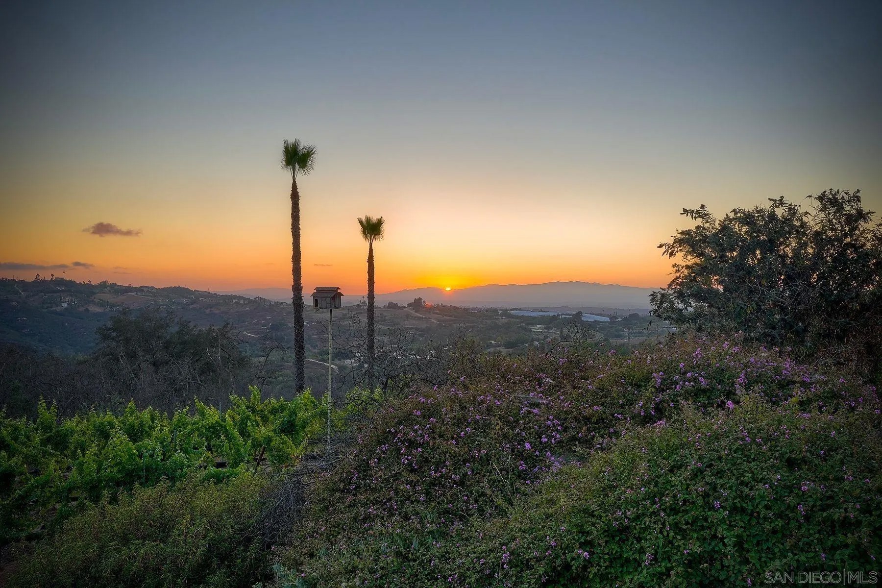 30388 Castlecrest