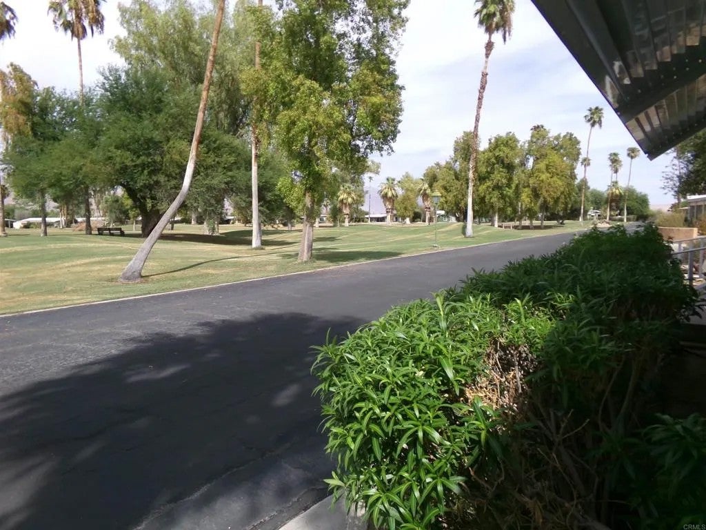 1010 Palm Canyon 55