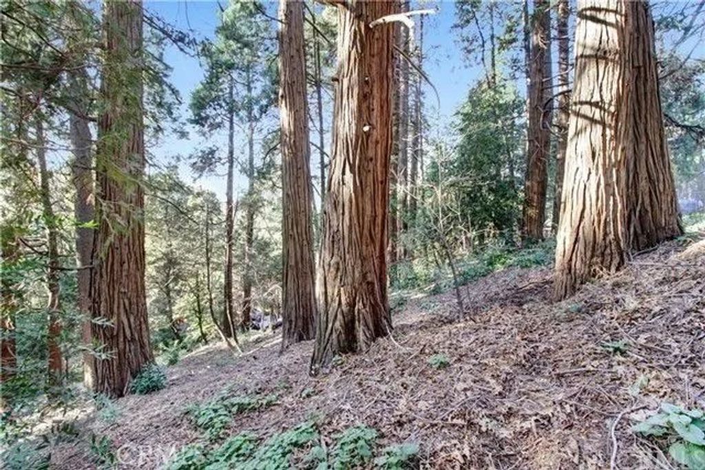 Photo of 2661 Scenic, Crestline, CA 92325 (MLS # IG26000198)