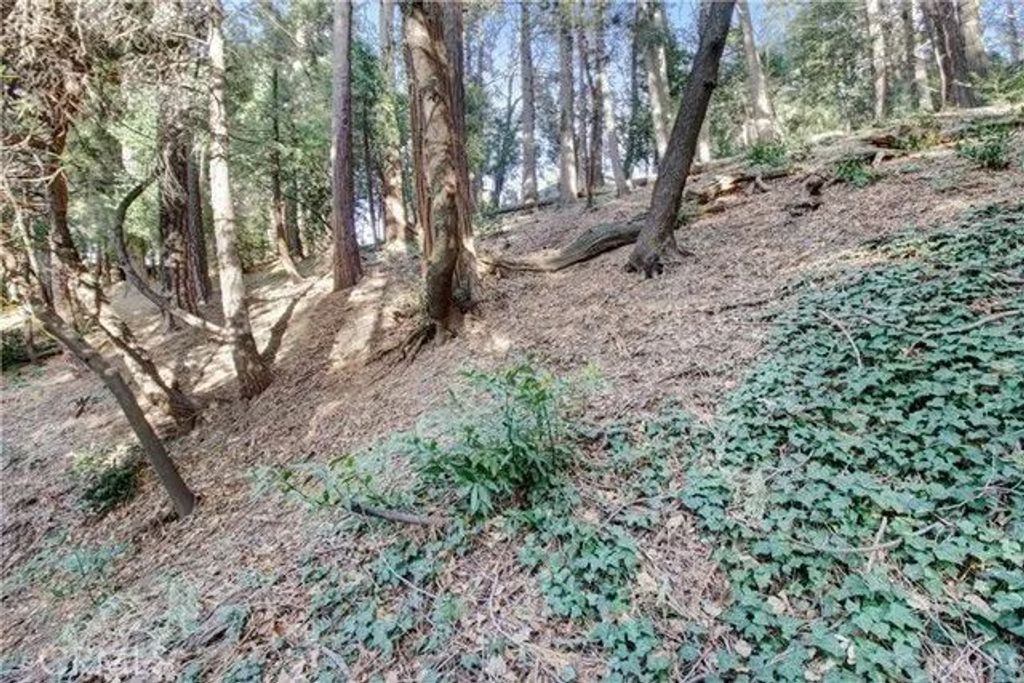 Photo of 2661 Scenic, Crestline, CA 92325 (MLS # IG26000198)