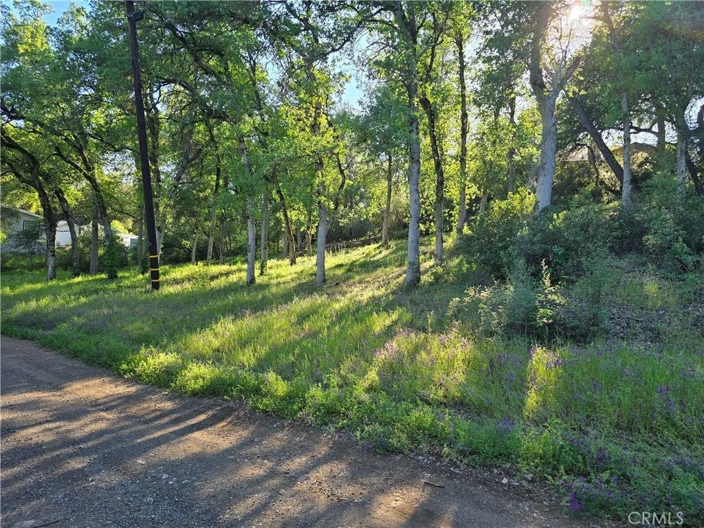 Photo of 6176 Armijo Ave, Clearlake, CA 95422 (MLS # LC26072262)