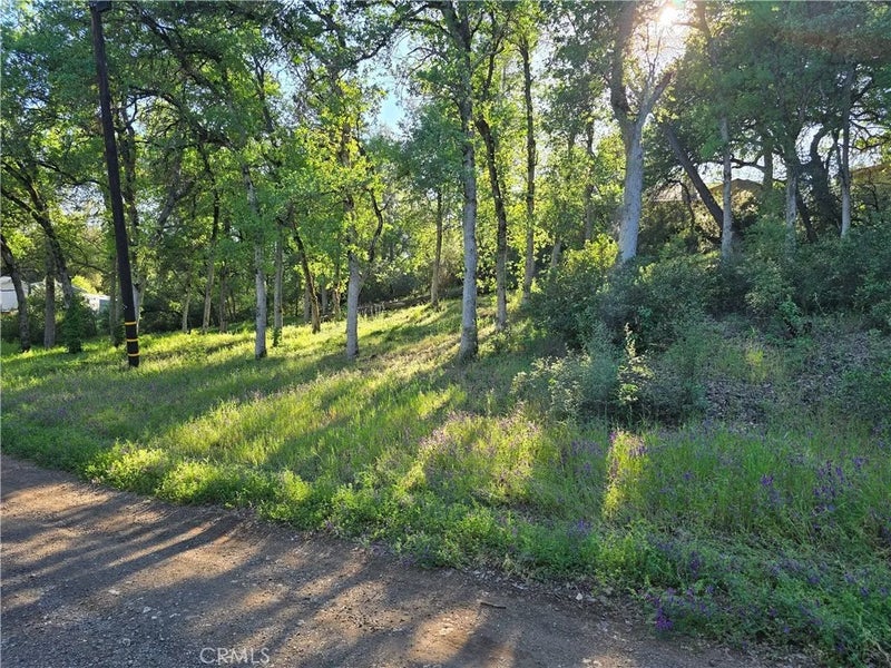 6176 Armijo