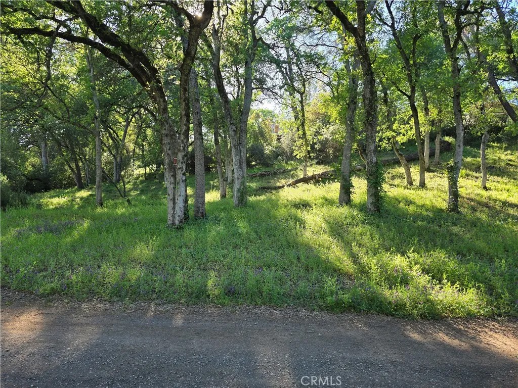 6176 Armijo