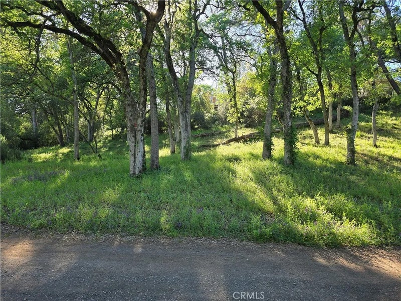 6176 Armijo