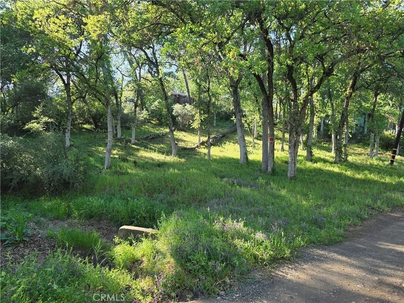 6176 Armijo