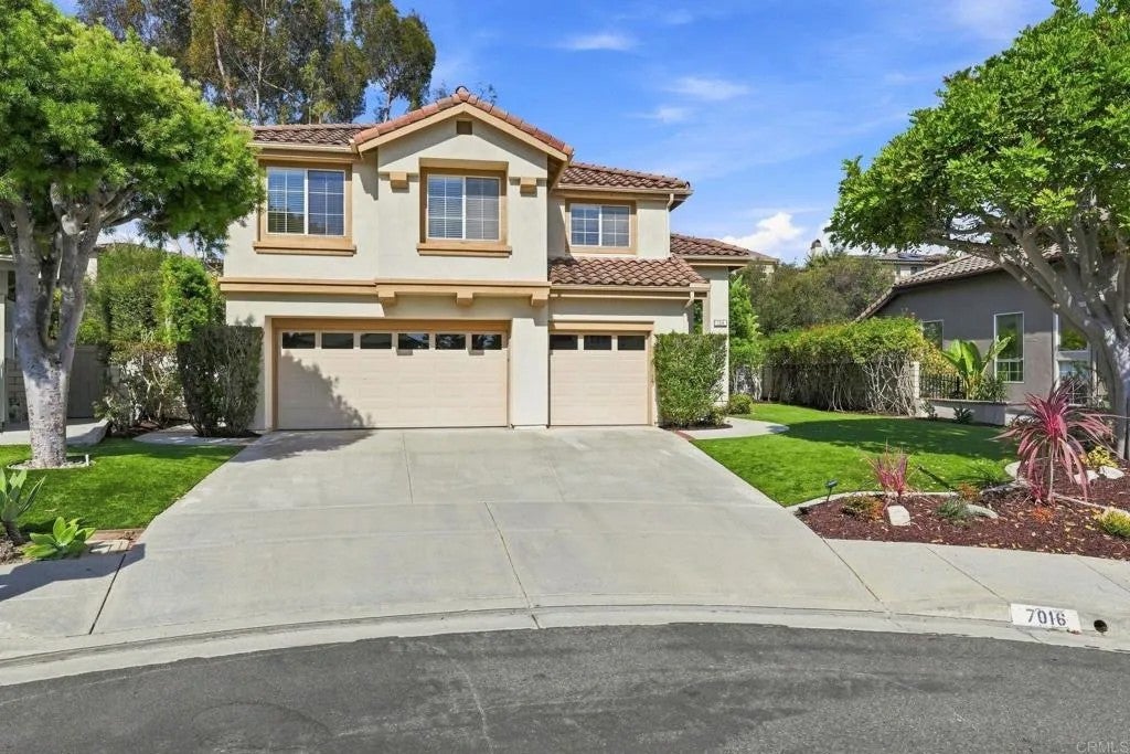 7016 Wildrose
