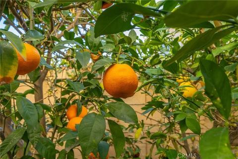 Tiny photo for 27015 Lemon Grass Way, Murrieta, CA 92562 (MLS # OC25249749)