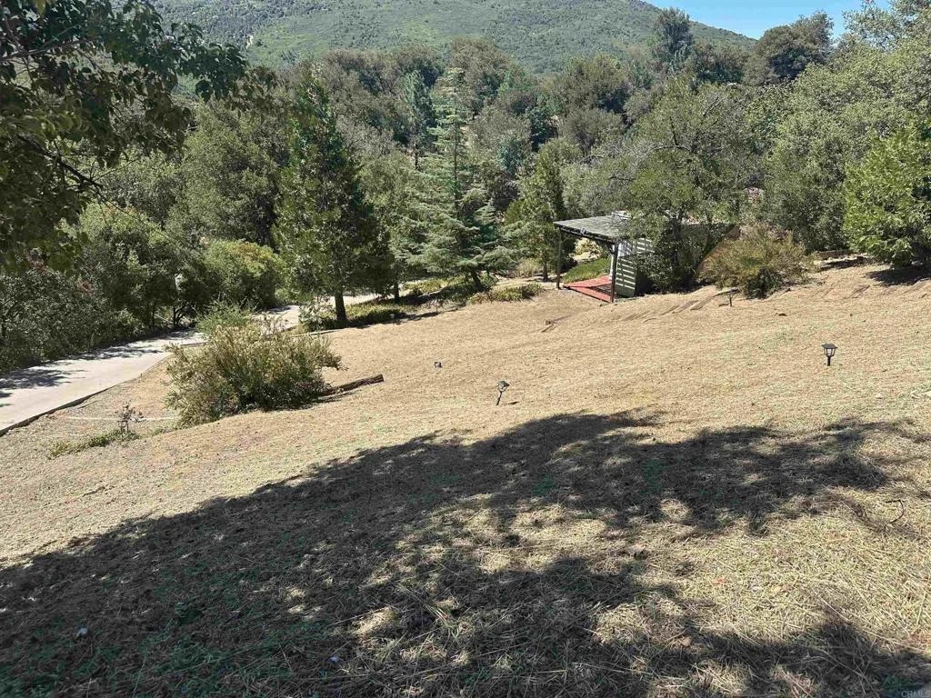 1626 Frisius Drive