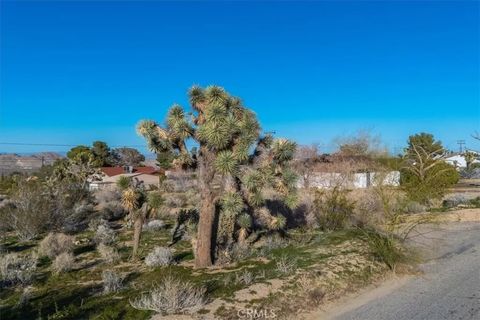 60432 Latham Joshua Tree CA 92252