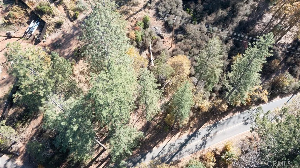 10981 Gifford Springs