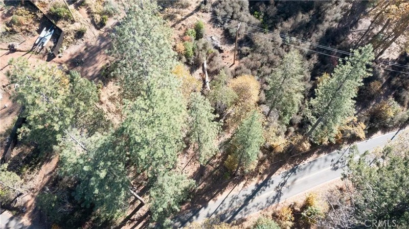 10981 Gifford Springs