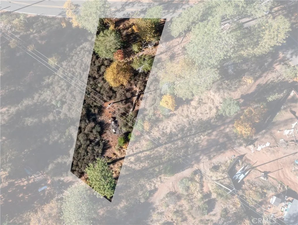 10981 Gifford Springs