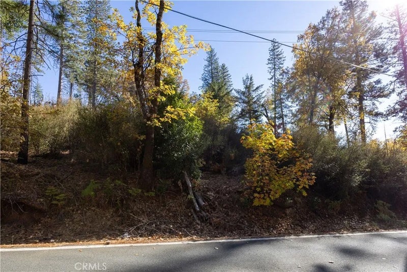 10981 Gifford Springs