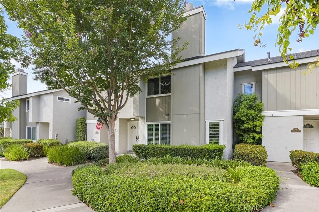 32 Goldenbush