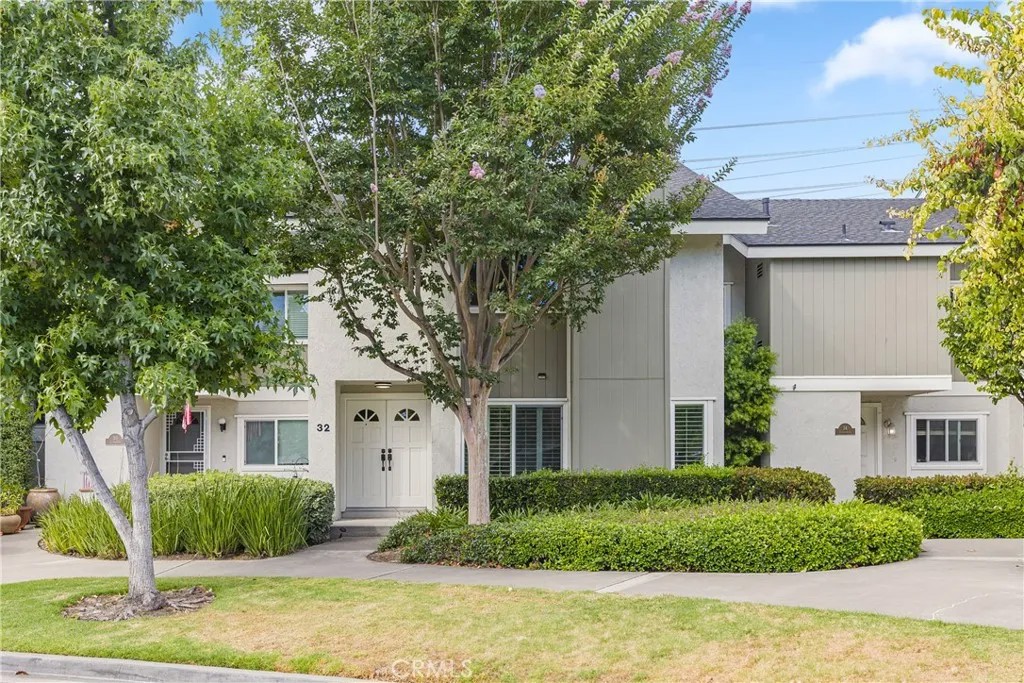 32 Goldenbush