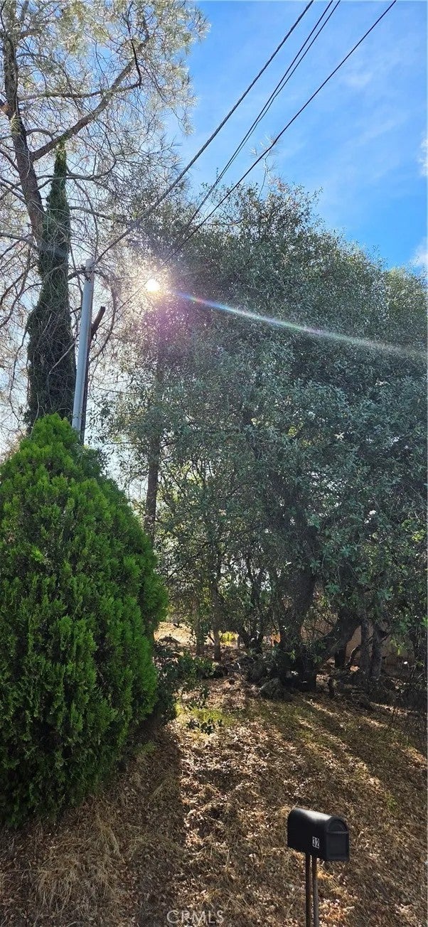 0 La Foret