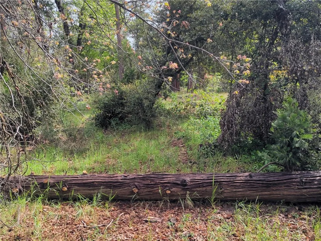 53309 Road 432