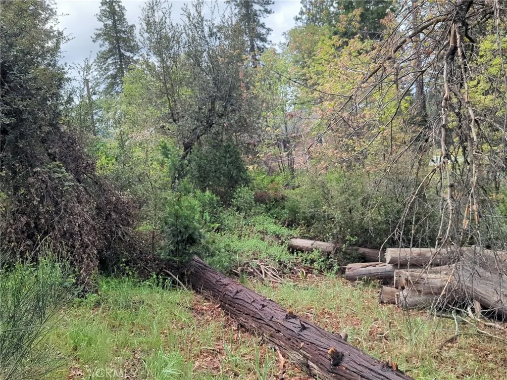 53309 Road 432