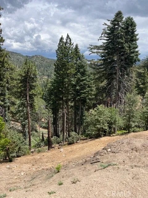 Photo of 2349 Deep Creek, Running Springs, CA 92382 (MLS # IG26195511)