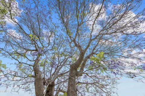 Tiny photo for 31310 village 31 Vlg, Camarillo, CA 93012 (MLS # V1-33186)