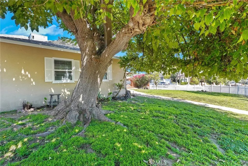 2800 Jolley Drive