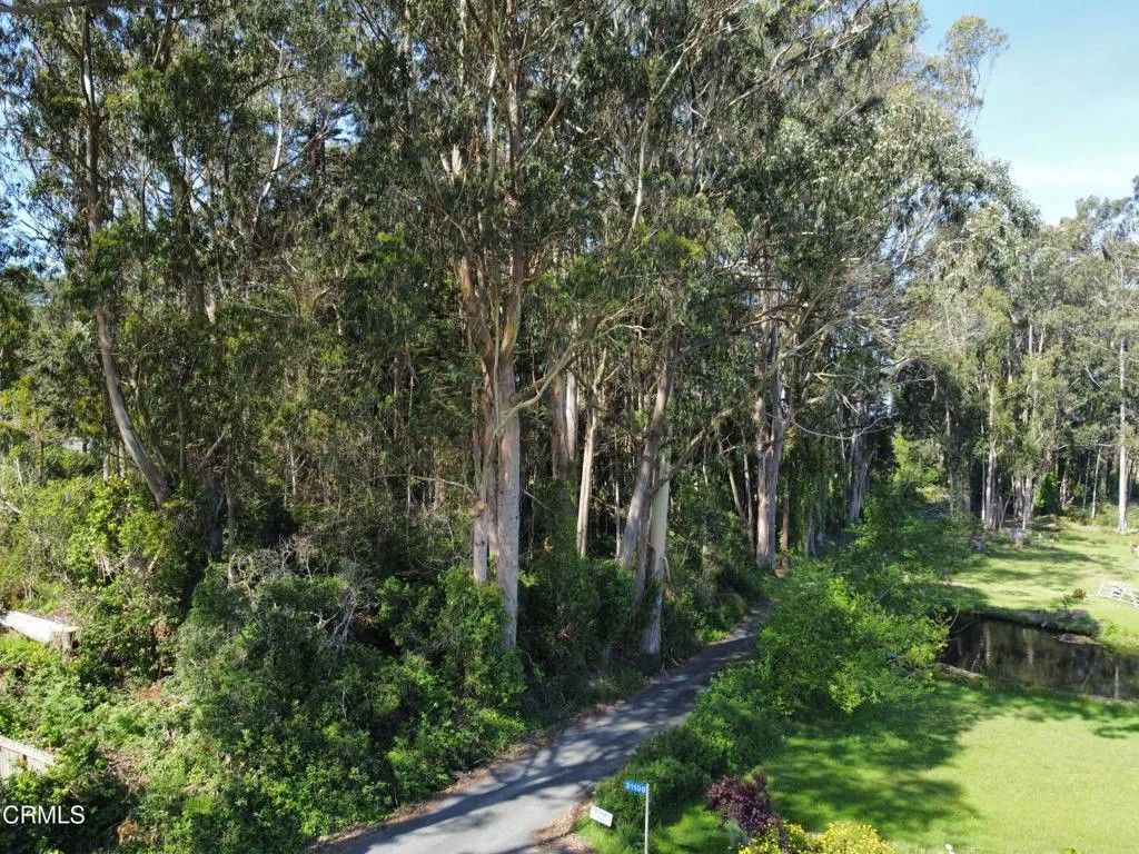 Photo of 32021 Boice Ln, Fort Bragg, CA 95437 (MLS # C1-11387)
