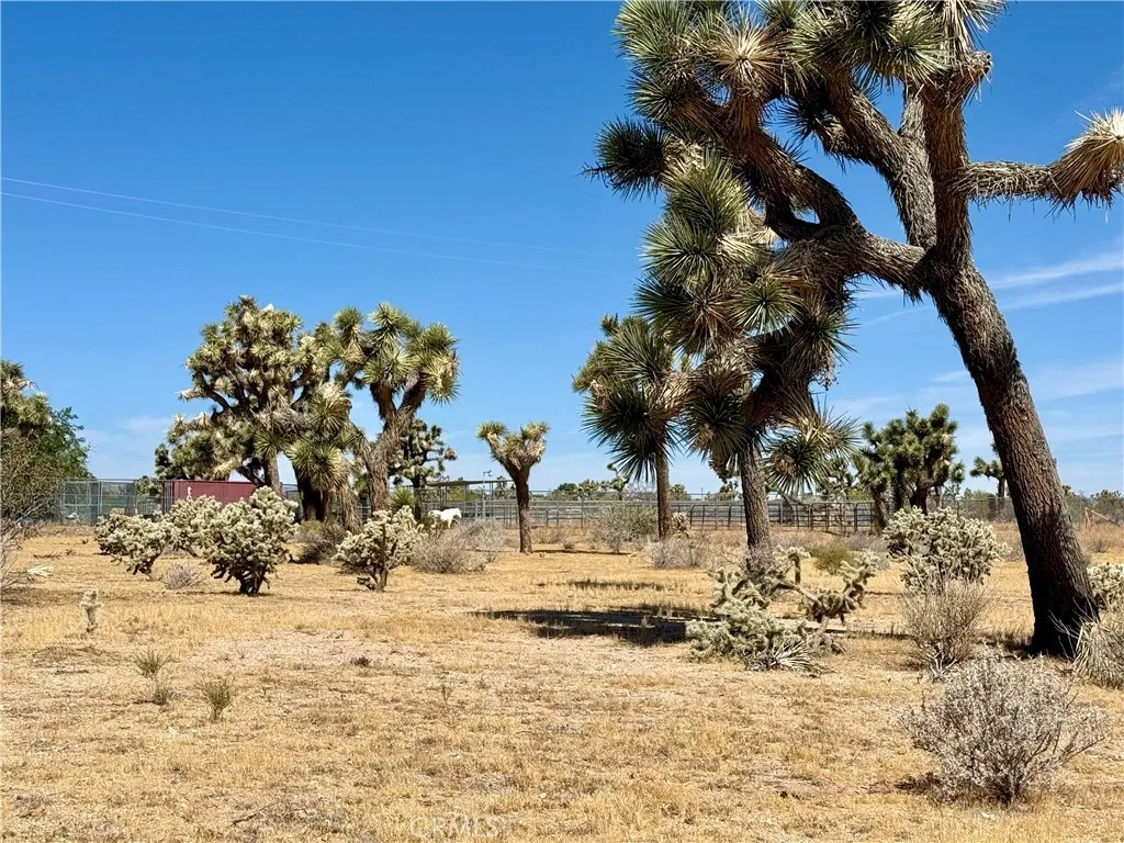 0 Sun Mesa