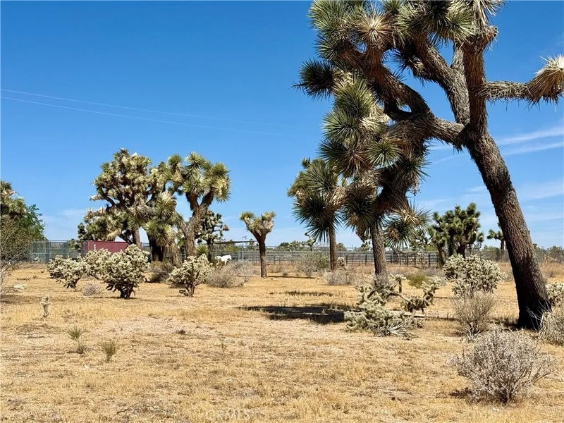 0 Sun Mesa