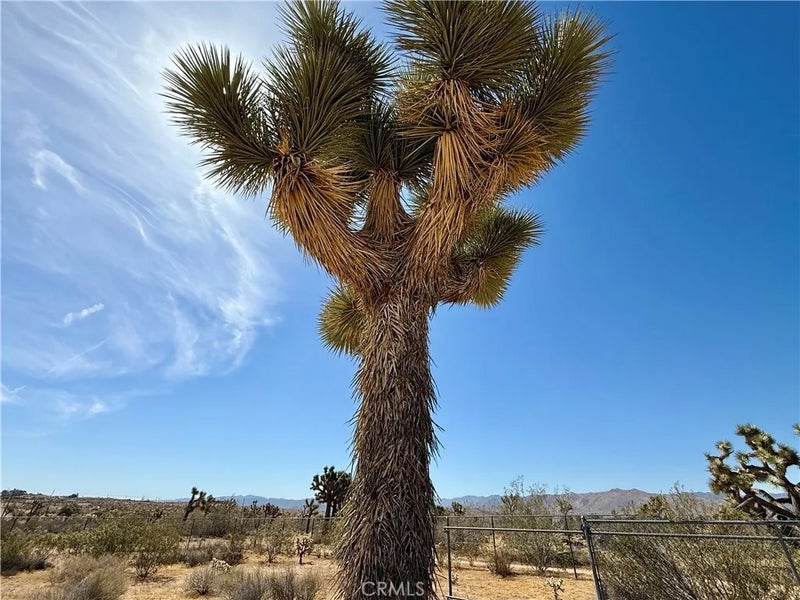 0 Sun Mesa
