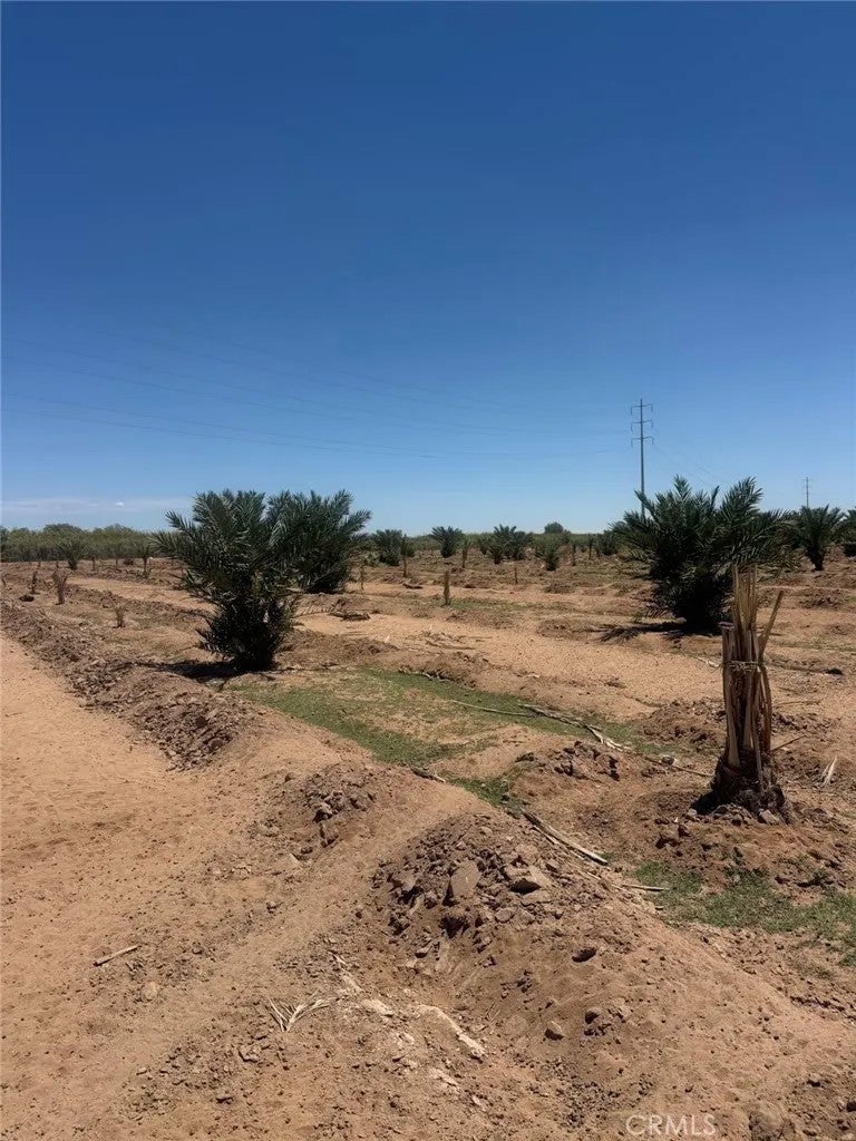Photo of 0 Montgomery, Calipatria, CA 92233 (MLS # CV26180146)