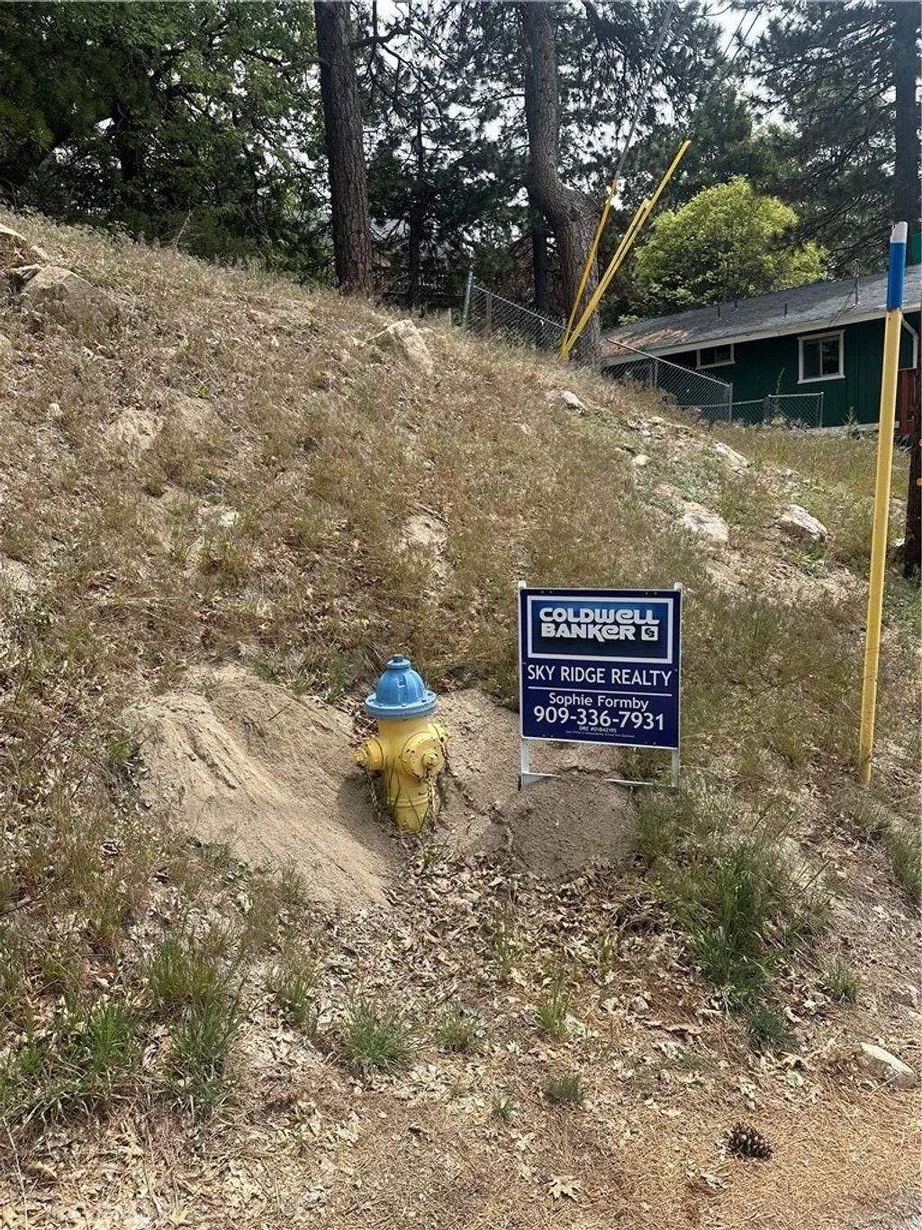 Photo of 0 Deer Lick Lane, Running Springs, CA 92382 (MLS # IG26089895)