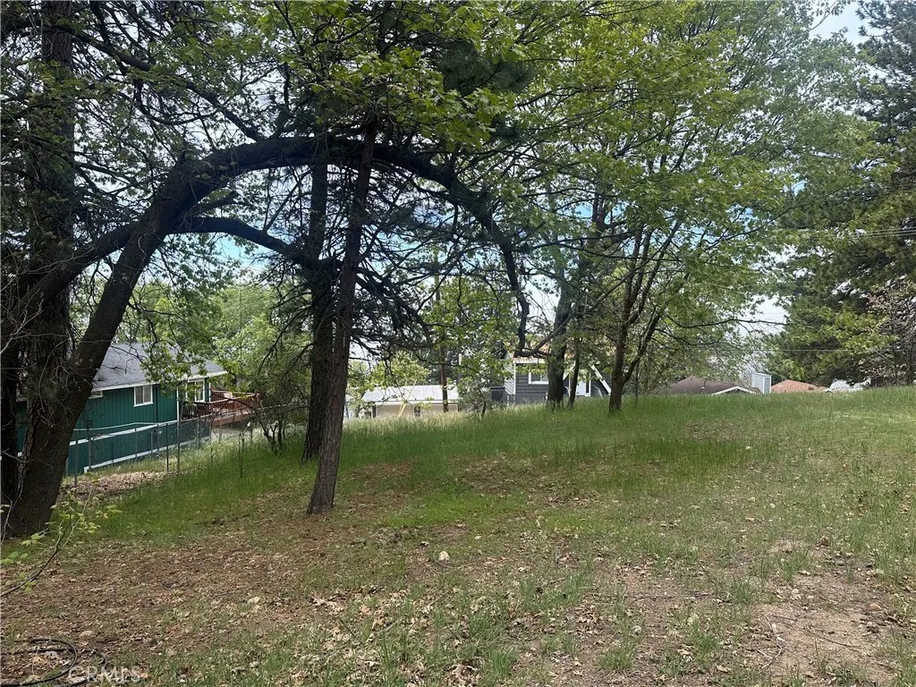 0 Deer Lick Lane