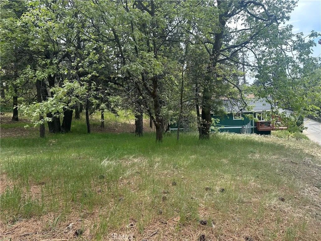 Photo of 0 Deer Lick Lane, Running Springs, CA 92382 (MLS # IG26089895)