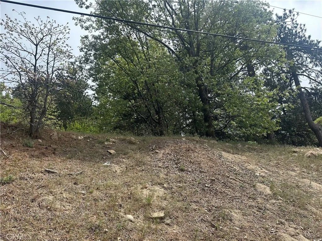 Photo of 0 Deer Lick Lane, Running Springs, CA 92382 (MLS # IG26089895)