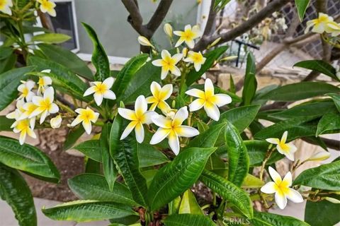 Tiny photo for 887 Kingman Drive, Norco, CA 92860 (MLS # IG25274629)