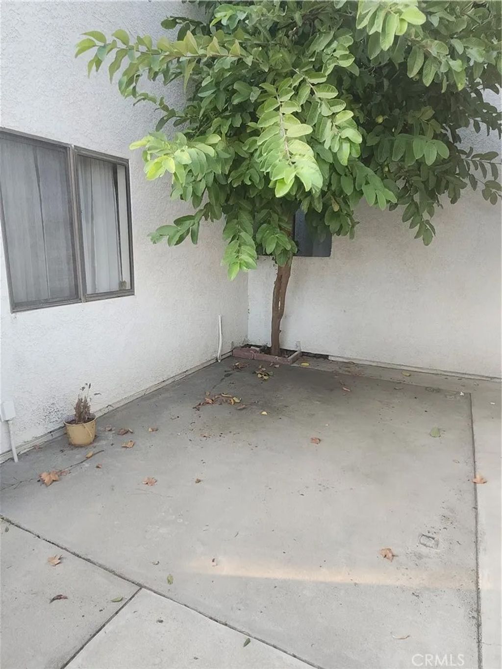 Photo of 203 Park Shadow, Baldwin Park, CA 91706 (MLS # AR26083110)