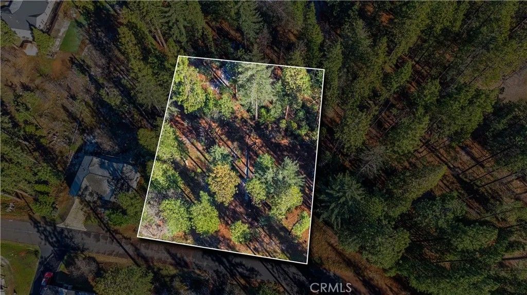 Photo of 434 Bird Dog, Arnold, CA 95224 (MLS # CV26006919)