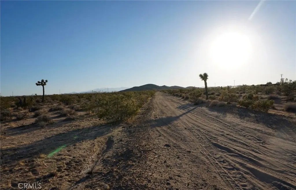 Photo of 2172 Conejo, Joshua Tree, CA 92252 (MLS # JT26088340)
