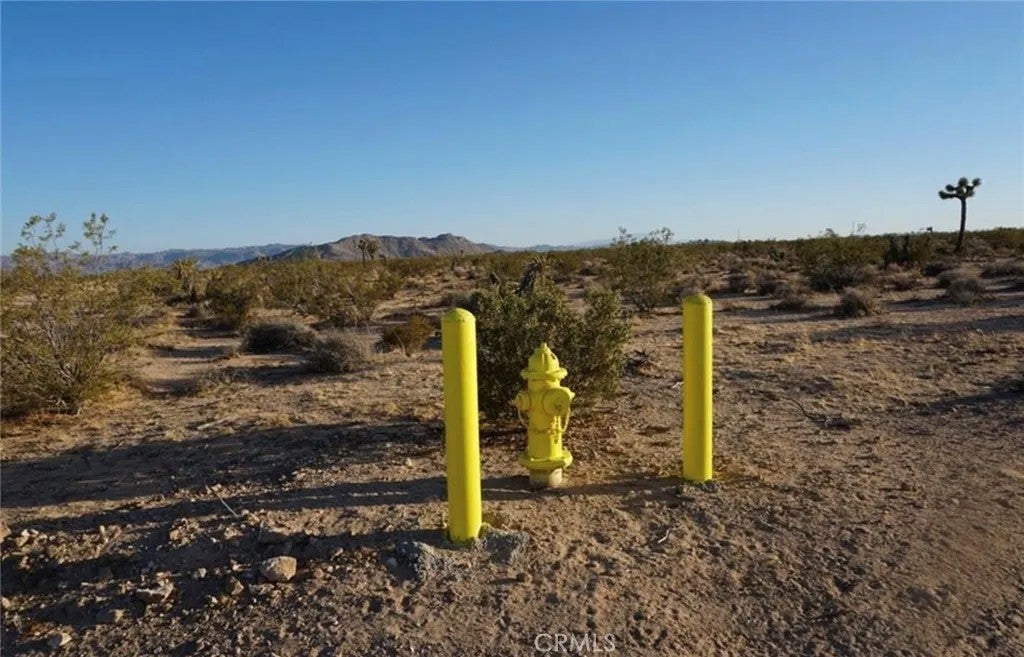 Photo of 2172 Conejo, Joshua Tree, CA 92252 (MLS # JT26088340)