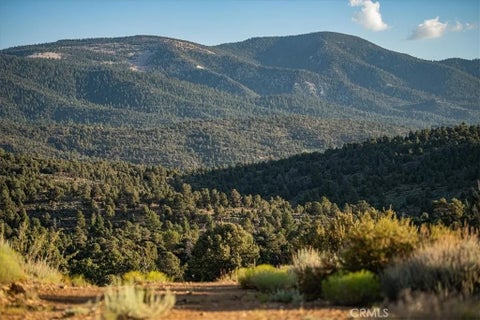 Tiny photo for 550 Eagle Ridge Rd, Big Bear Lake, CA 92314 (MLS # CV26215841)