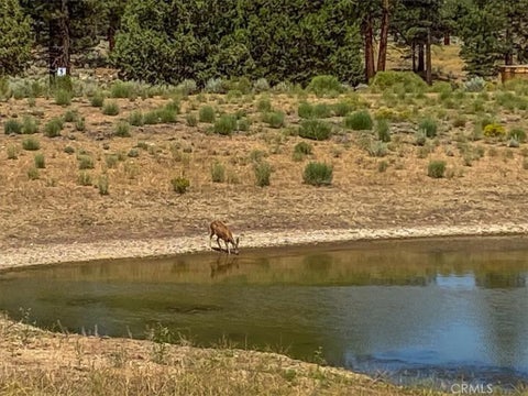 Tiny photo for 550 Eagle Ridge Rd, Big Bear Lake, CA 92314 (MLS # CV26215841)