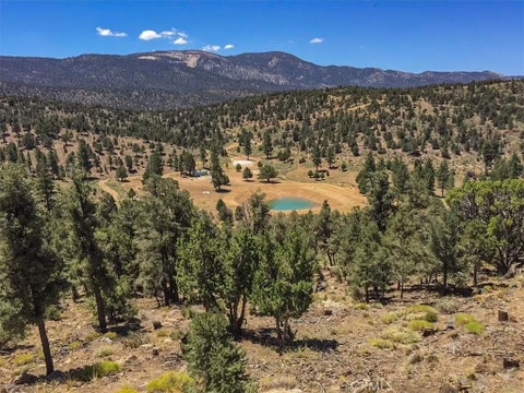Tiny photo for 550 Eagle Ridge Rd, Big Bear, CA 92314 (MLS # CV26215841)